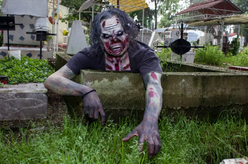Undead and Undefeated: The Surprisingly Crowded Afterlife of Internet Slang Nobody Asked to Bring Back